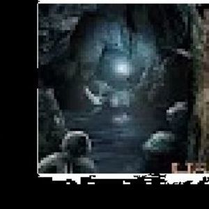 Meet your Posher, Bird